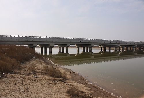 張圩港河橋